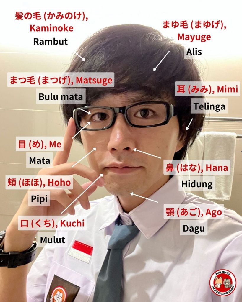 Gambar Bagian-Bagian Wajah dalam Bahasa Jepang (Sumber: Instagram @oke_jadi)