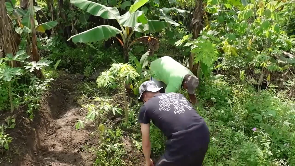 Gambar Leonardo Edwin Bantu Membersihkan Kebun (Sumber: Youtube Talent)